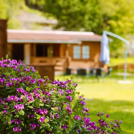 Ohana Geres House Vakantiehuis Ruivãis